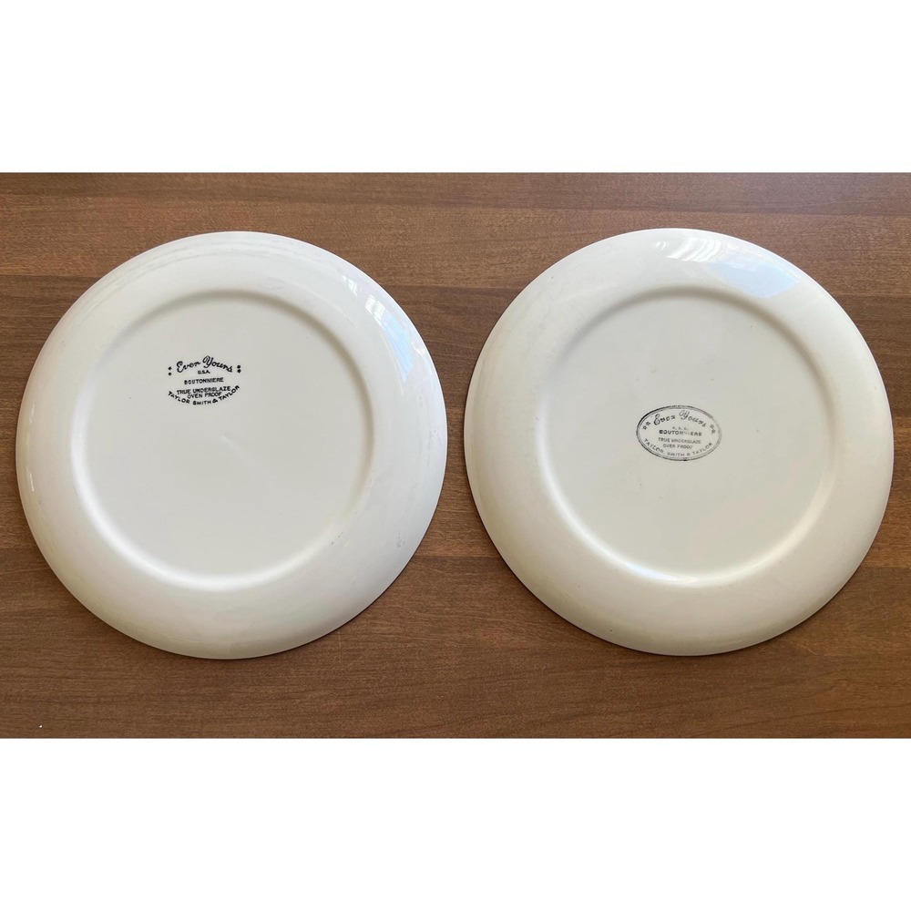 Taylor Smith Taylor Boutonniere Ever Yours Dinner Plates TS&T MCM Dinnerware - Picture 3 of 10